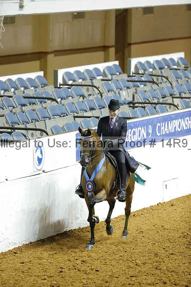 Proof Number 14r9_2080