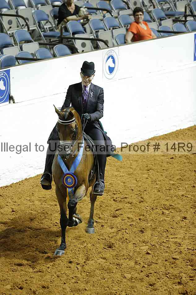 Proof Number 14r9_2081