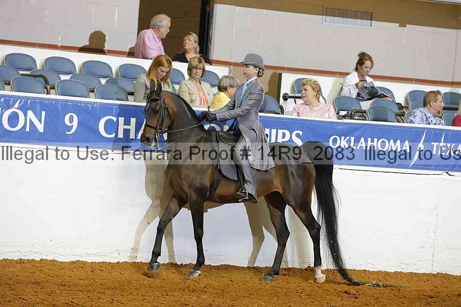 Proof Number 14r9_2083