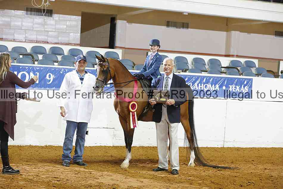 Proof Number 14r9_2093