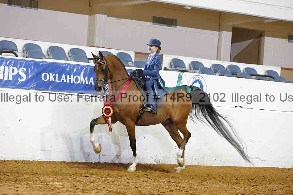 Proof Number 14r9_2102