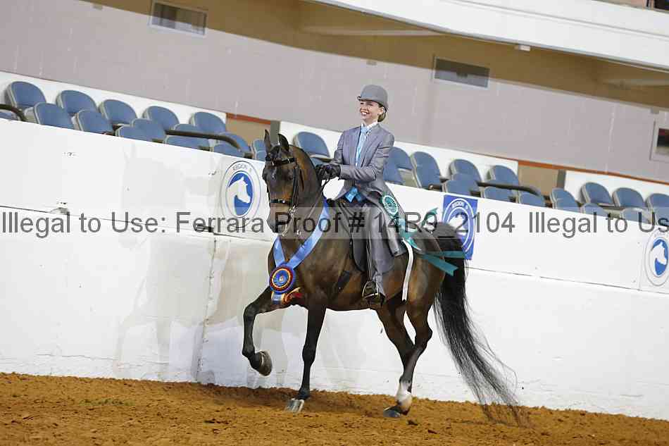 Proof Number 14r9_2104