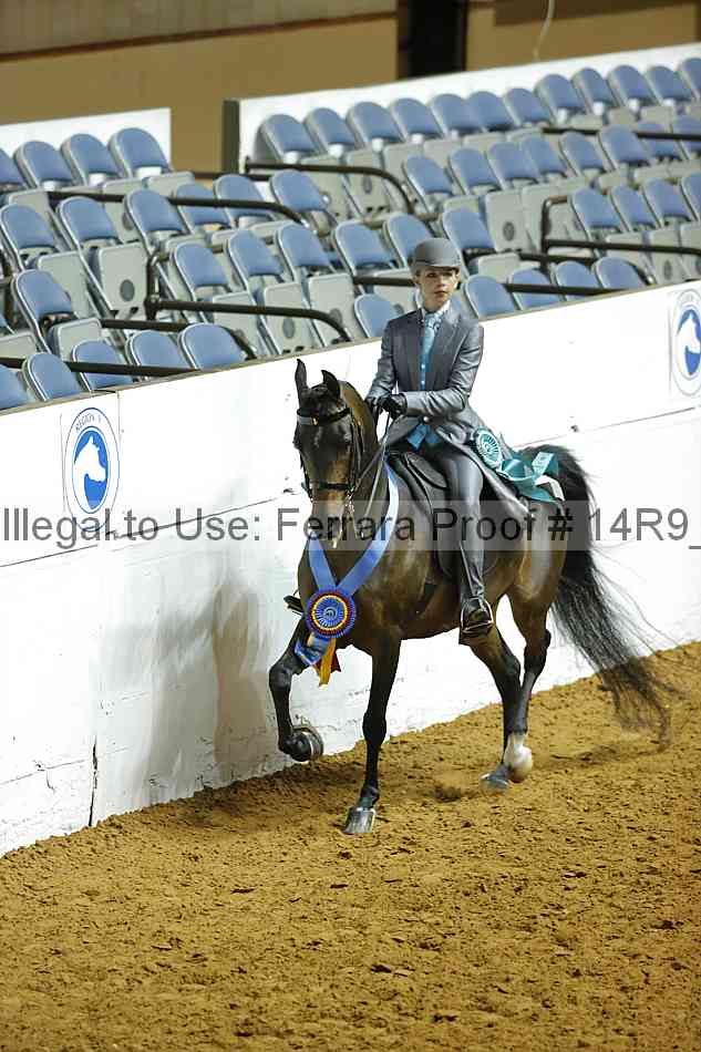 Proof Number 14r9_2109