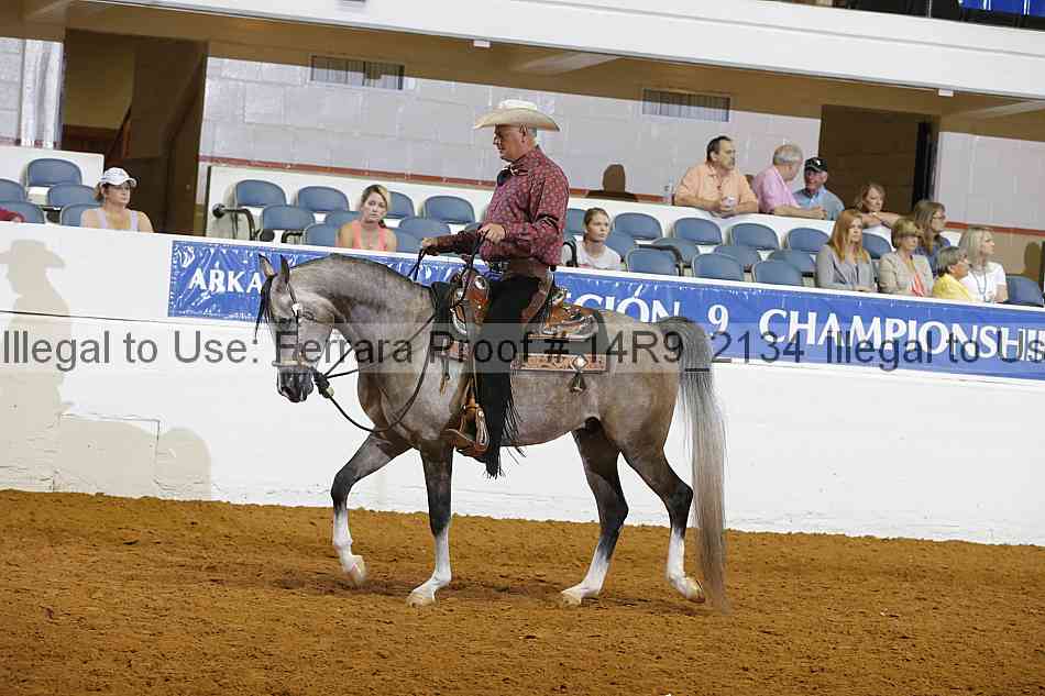 Proof Number 14r9_2134