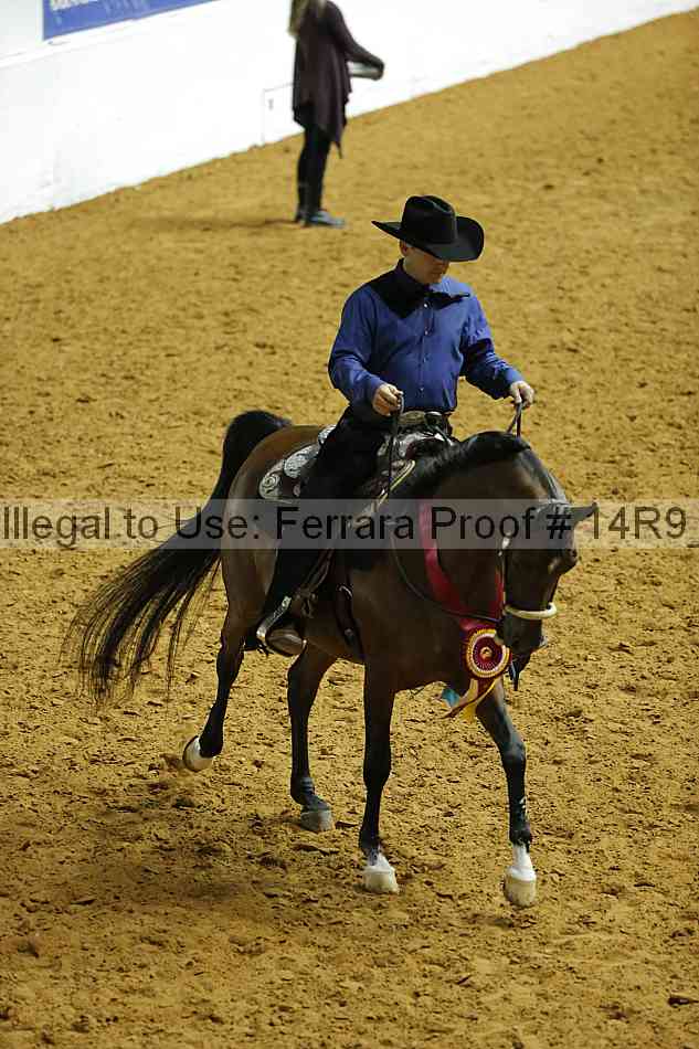 Proof Number 14r9_2151
