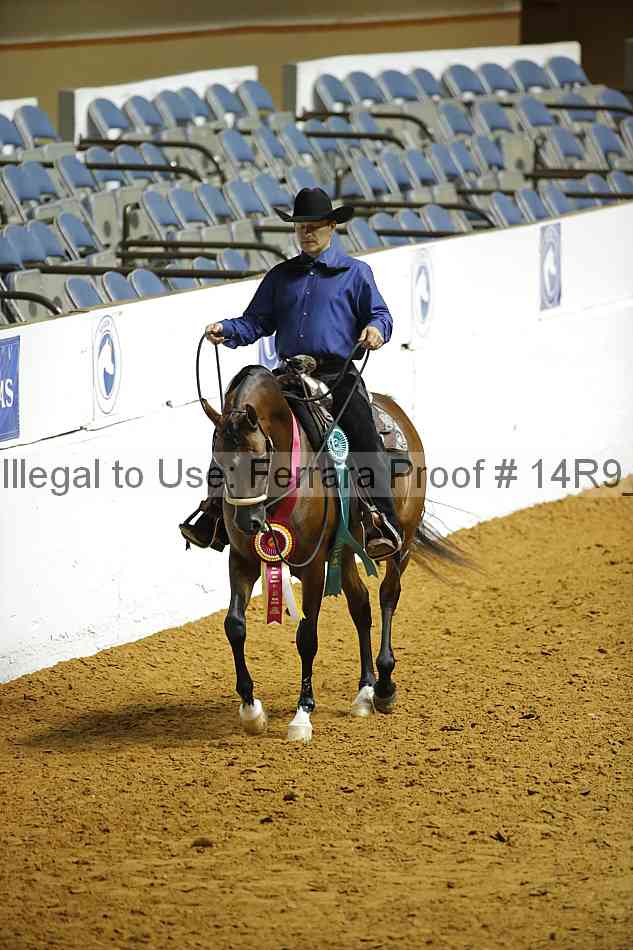 Proof Number 14r9_2169