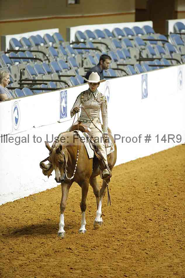 Proof Number 14r9_2291