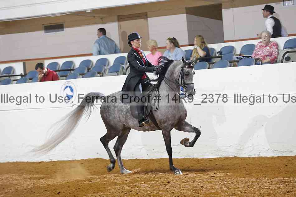 Proof Number 14r9_2378
