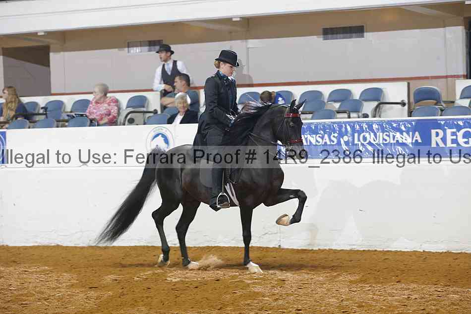 Proof Number 14r9_2386
