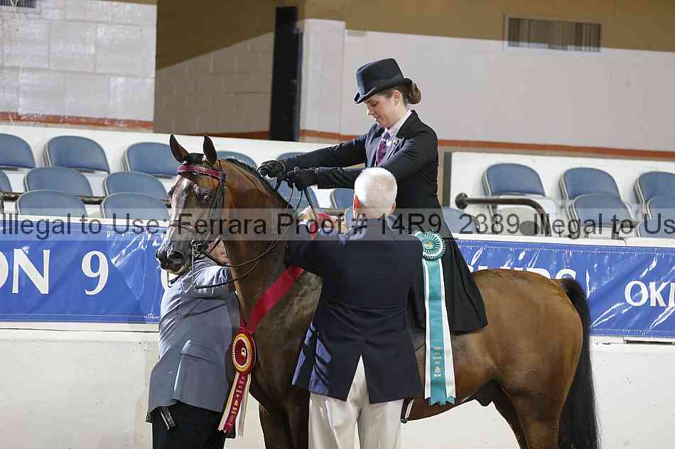 Proof Number 14r9_2389