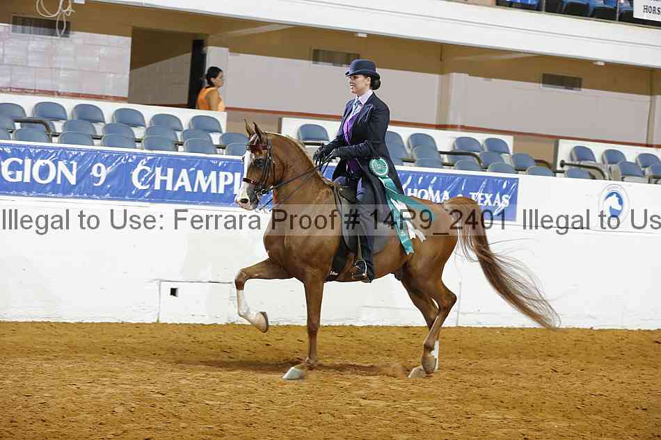 Proof Number 14r9_2401