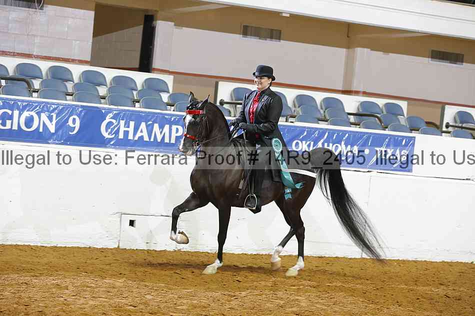 Proof Number 14r9_2405