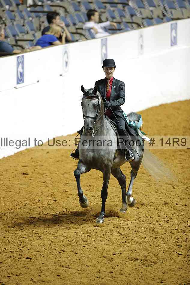 Proof Number 14r9_2406