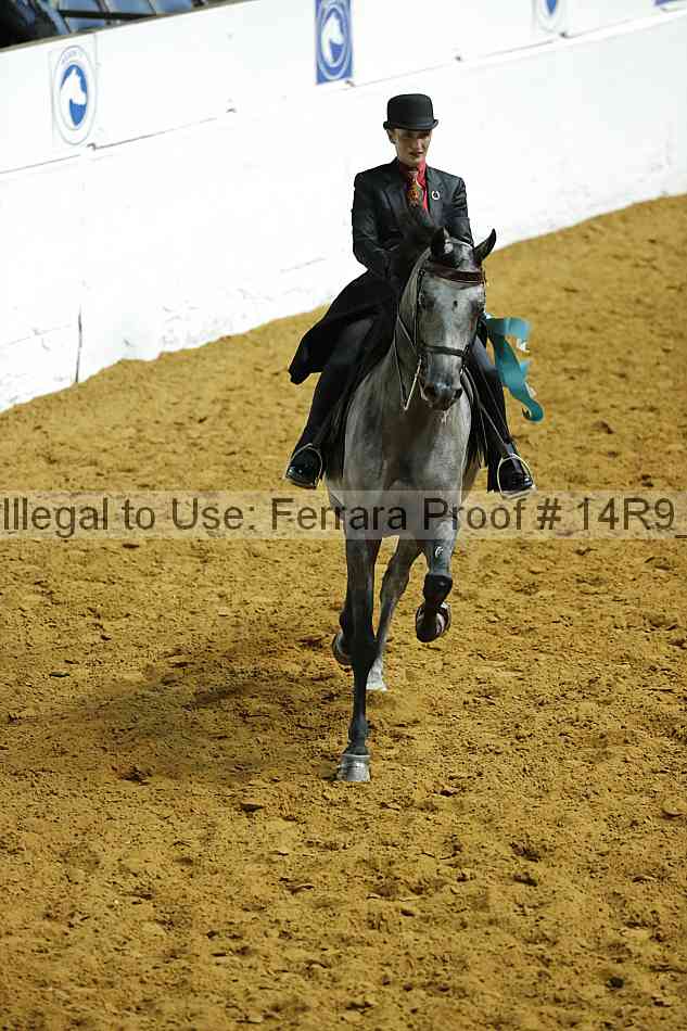 Proof Number 14r9_2408