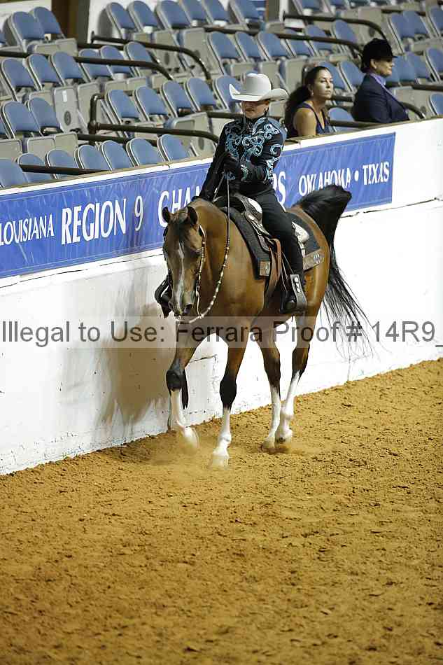 Proof Number 14r9_2458