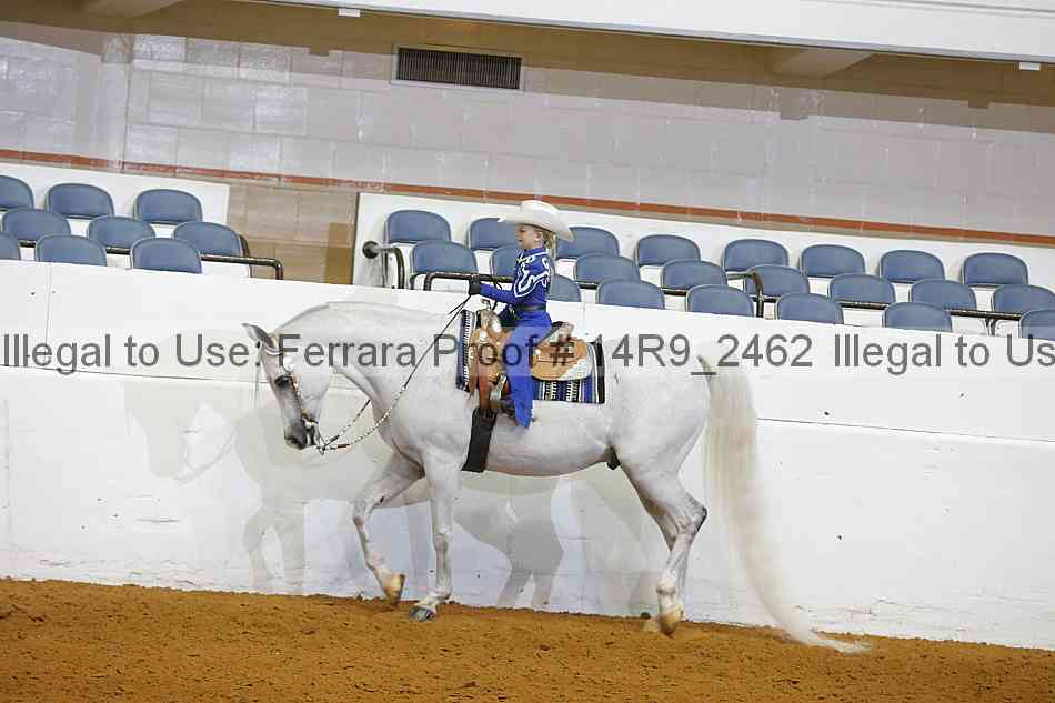 Proof Number 14r9_2462