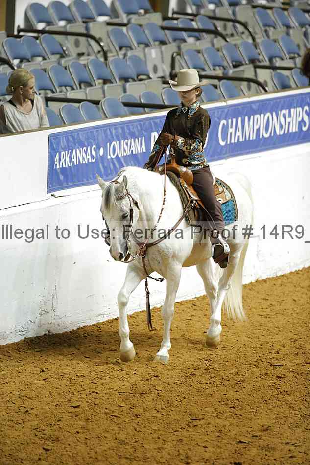 Proof Number 14r9_2478