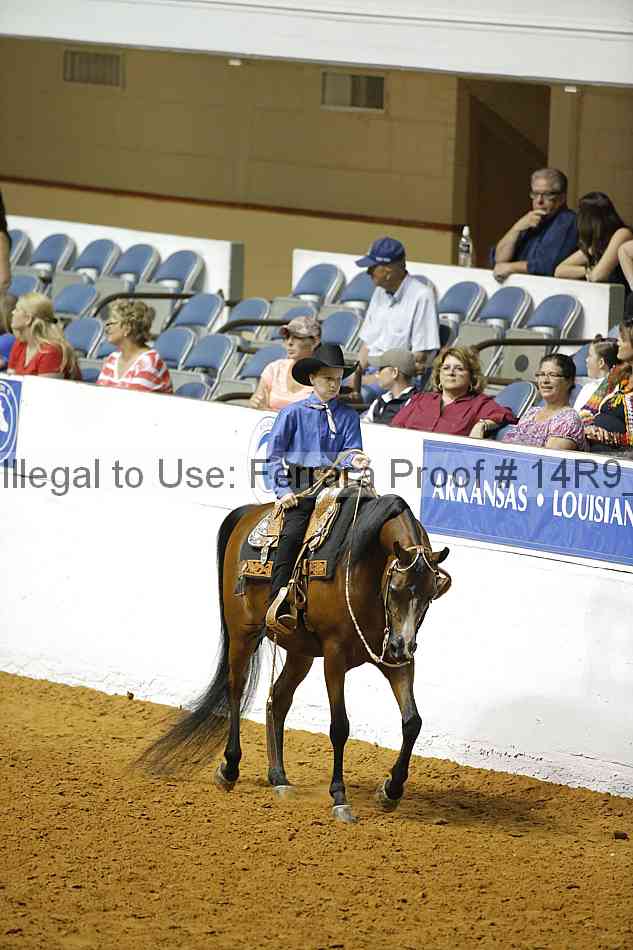 Proof Number 14r9_2488