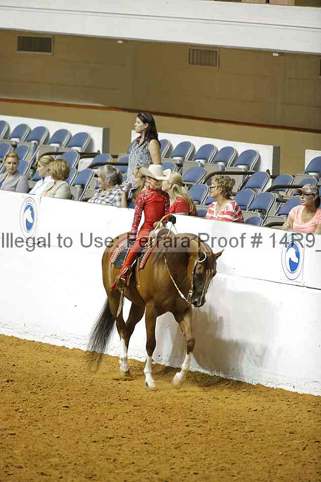 Proof Number 14r9_2489