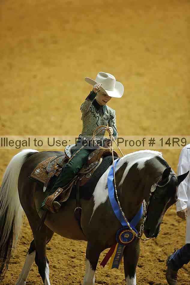 Proof Number 14r9_2506