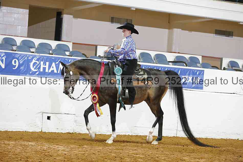 Proof Number 14r9_2522