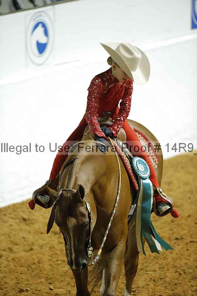 Proof Number 14r9_2524