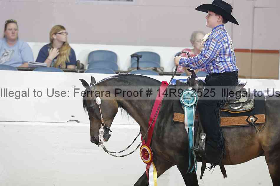 Proof Number 14r9_2525