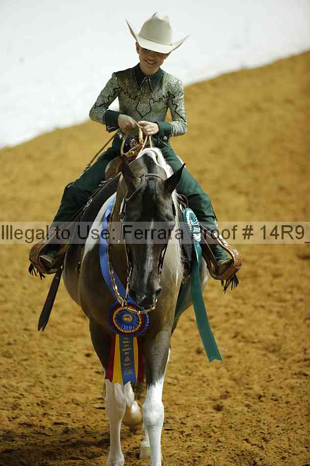 Proof Number 14r9_2536
