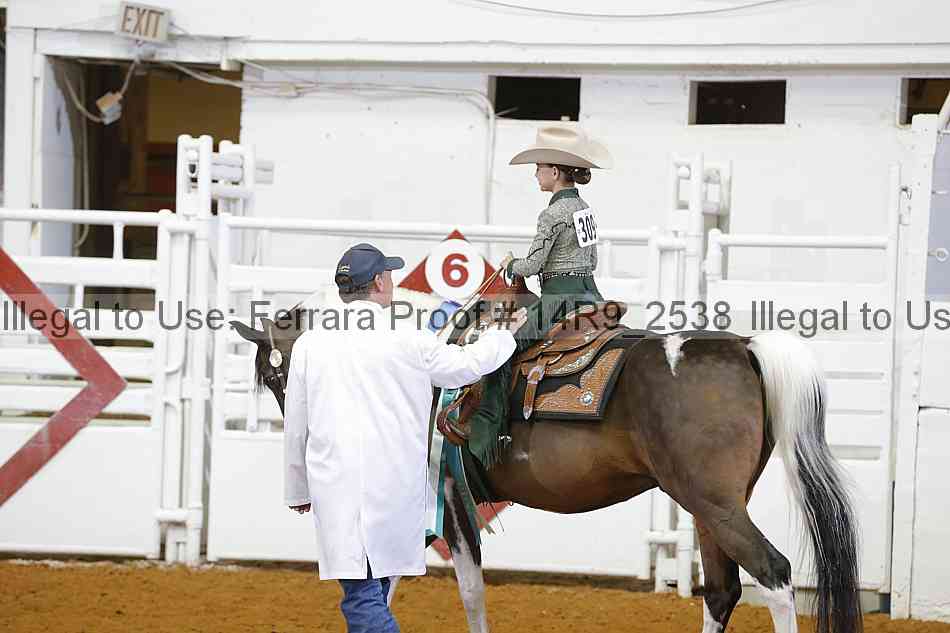 Proof Number 14r9_2538