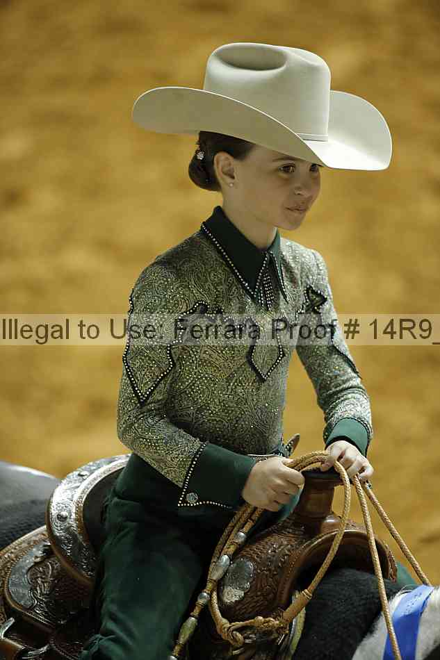 Proof Number 14r9_2541