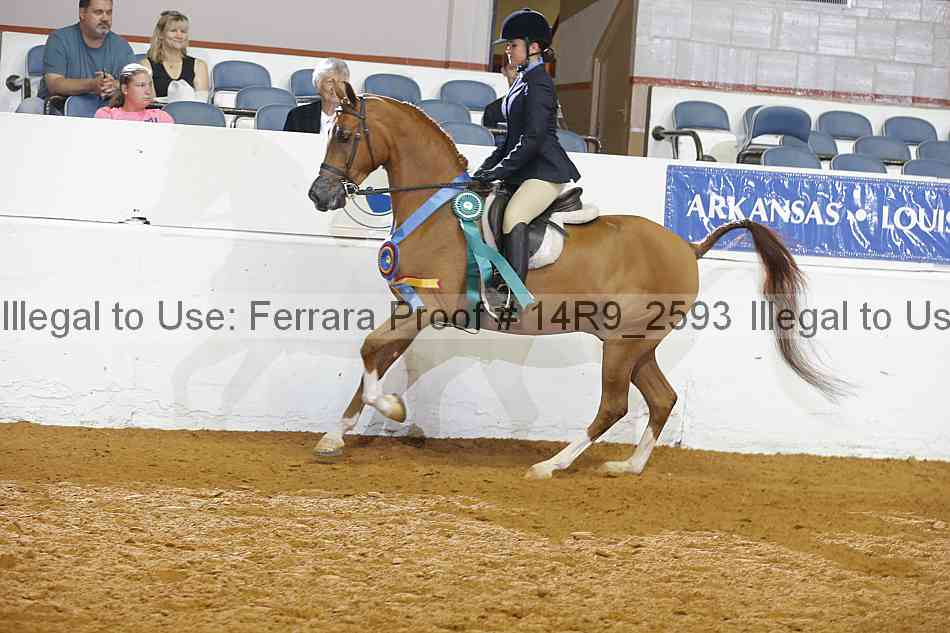 Proof Number 14r9_2593