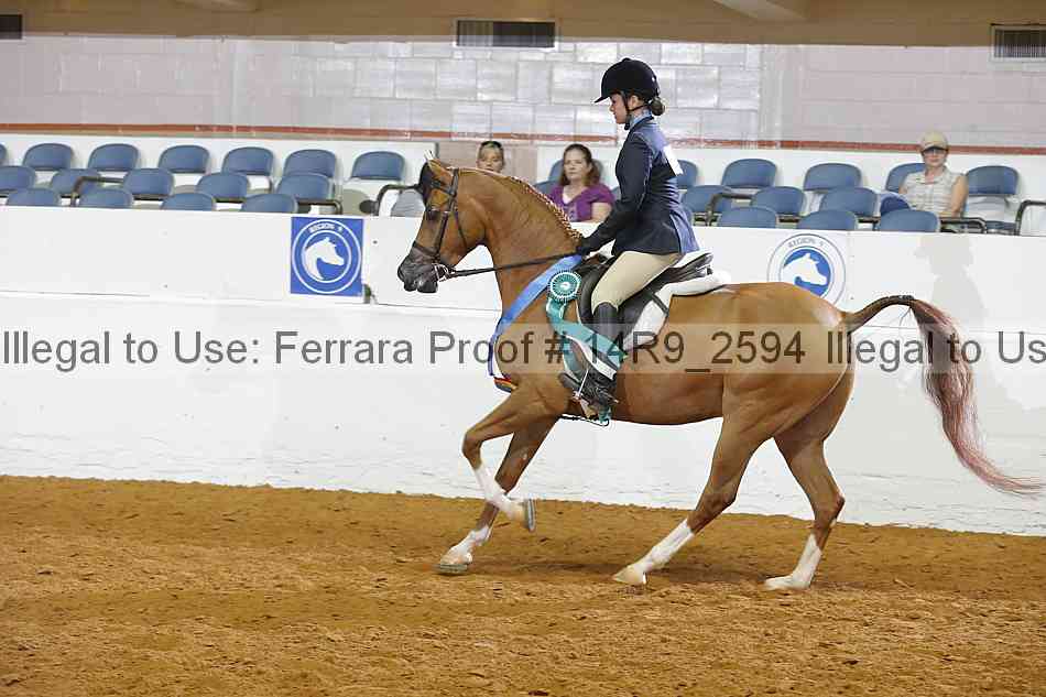 Proof Number 14r9_2594