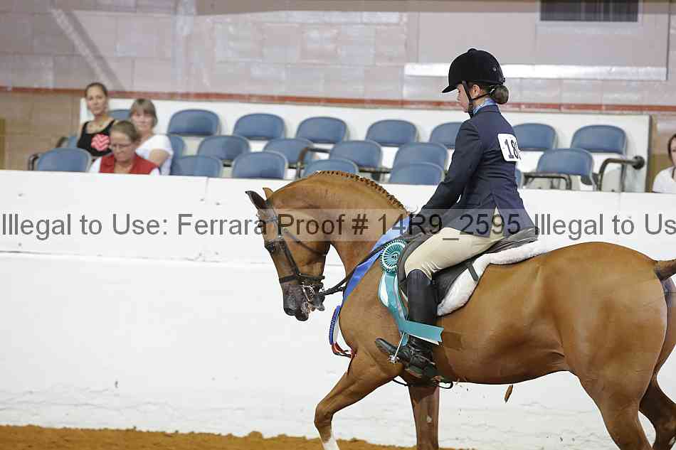 Proof Number 14r9_2595