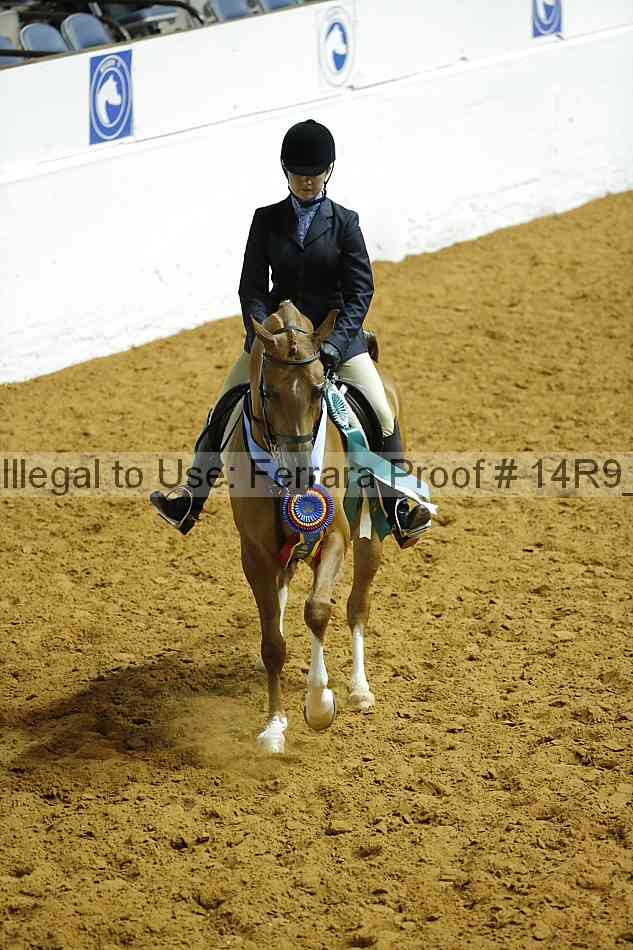 Proof Number 14r9_2596
