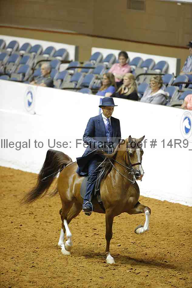 Proof Number 14r9_2612