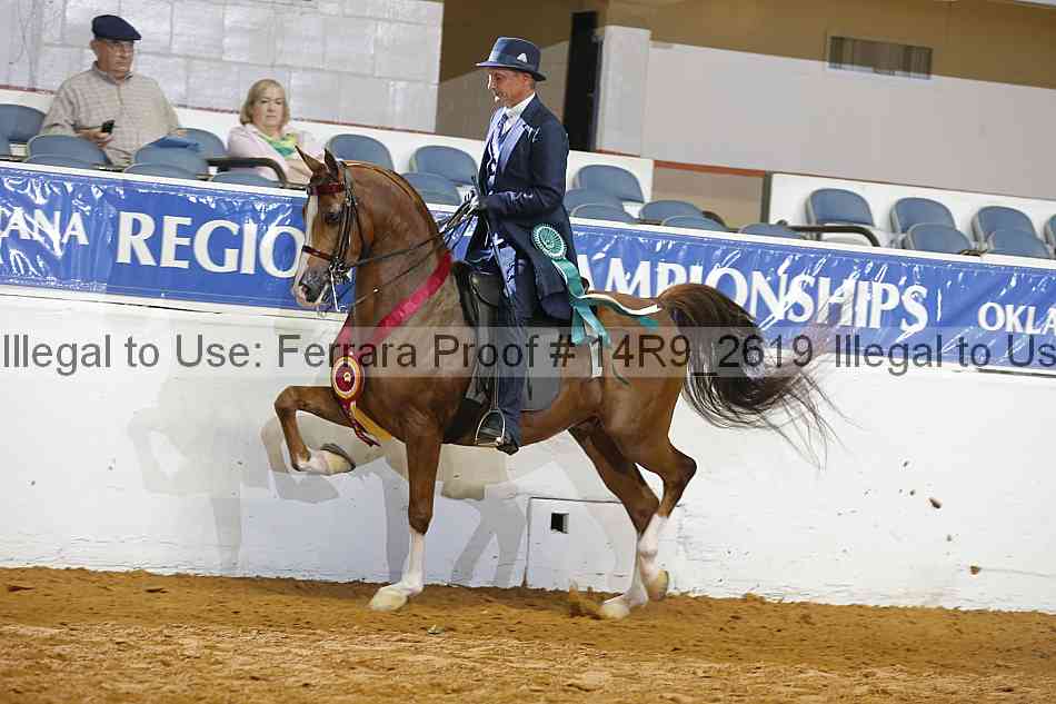 Proof Number 14r9_2619