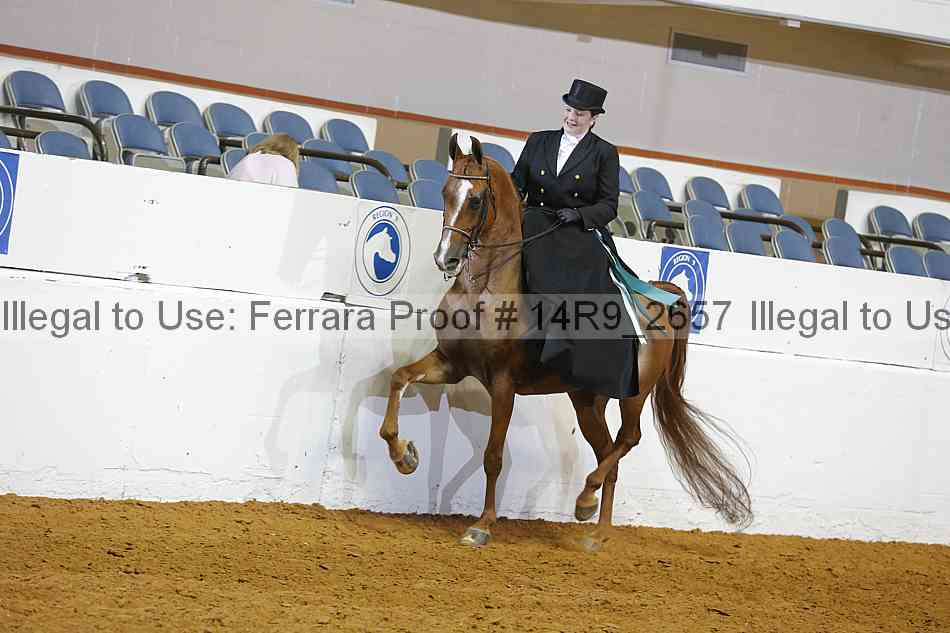 Proof Number 14r9_2657
