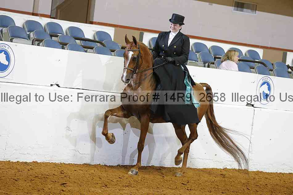 Proof Number 14r9_2658