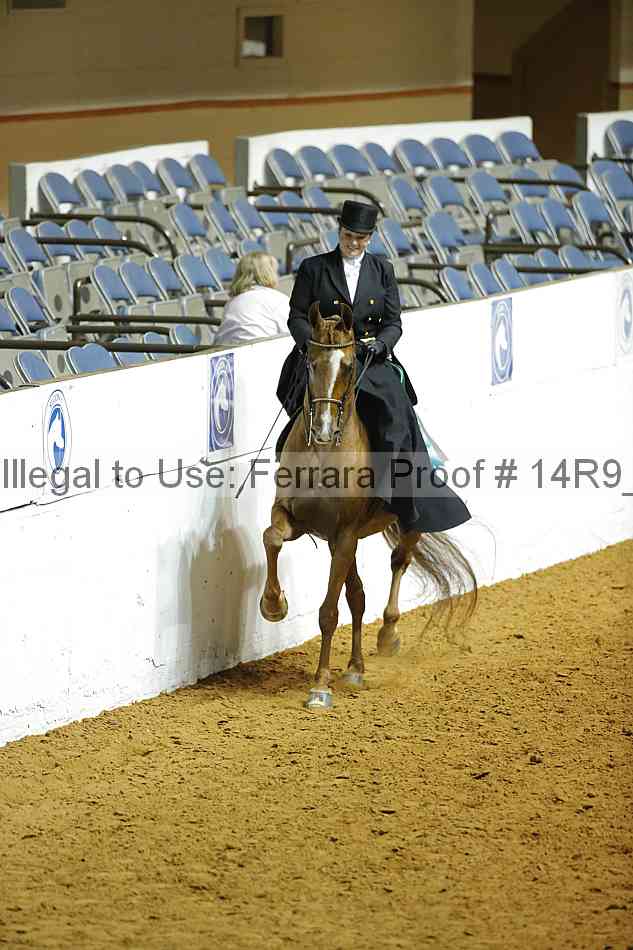Proof Number 14r9_2660