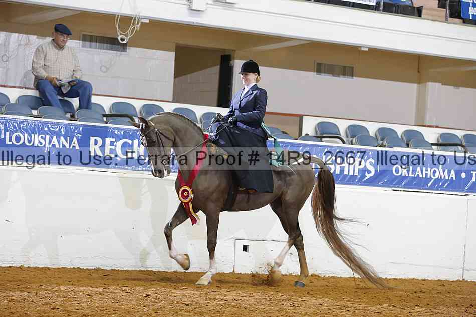 Proof Number 14r9_2667