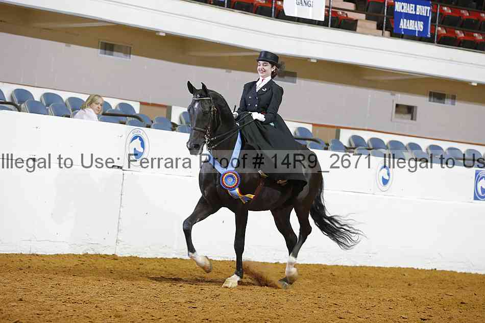 Proof Number 14r9_2671