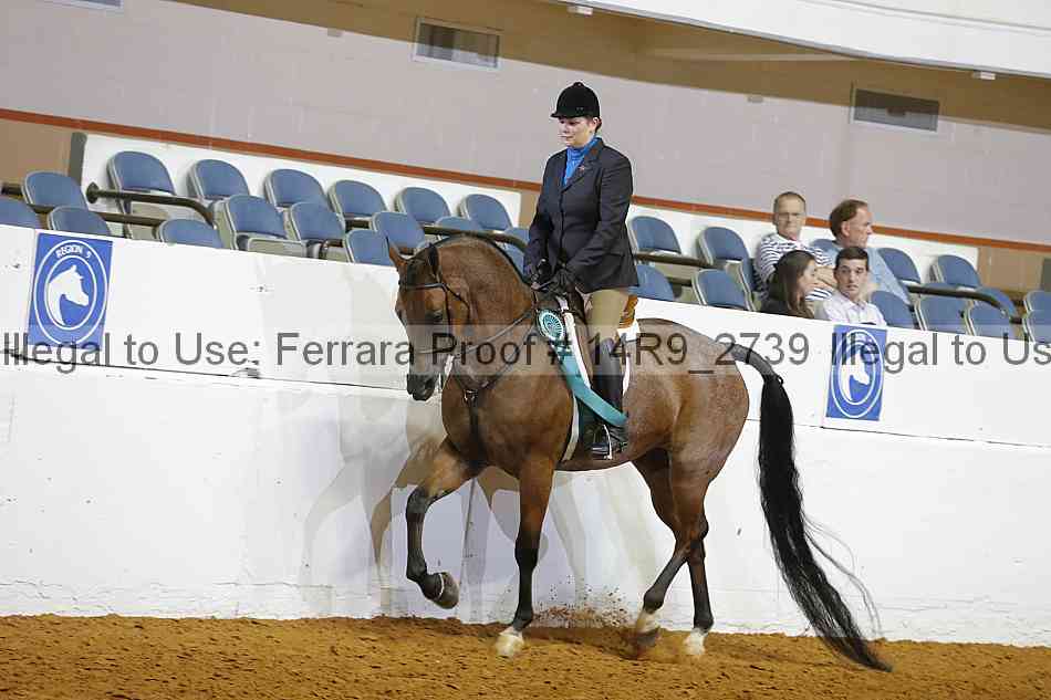 Proof Number 14r9_2739