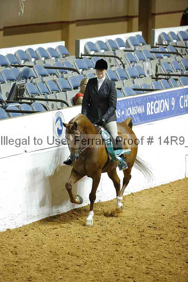 Proof Number 14r9_2741