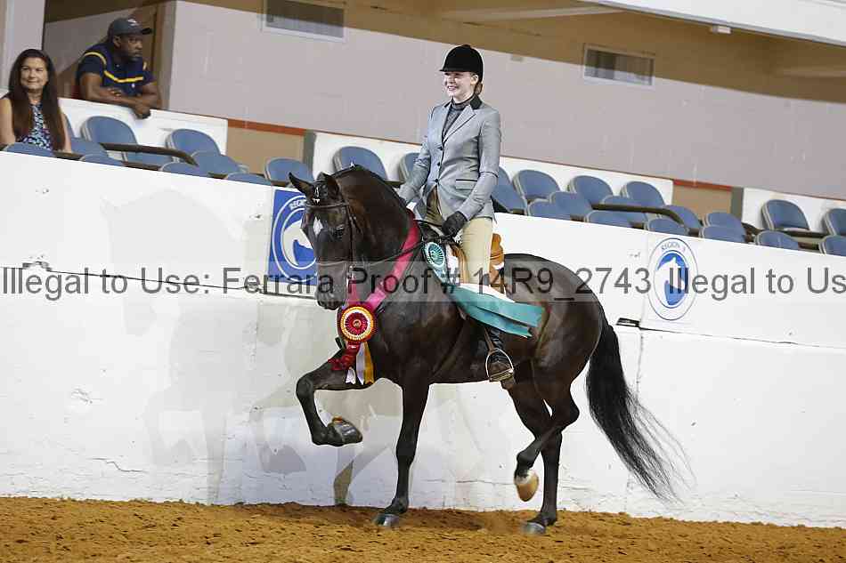 Proof Number 14r9_2743