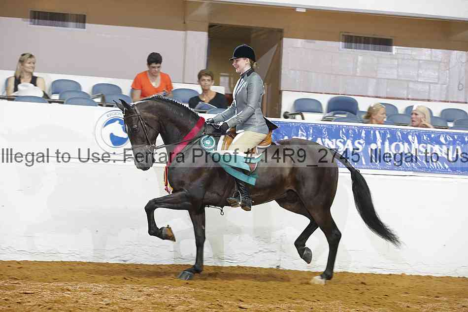 Proof Number 14r9_2745