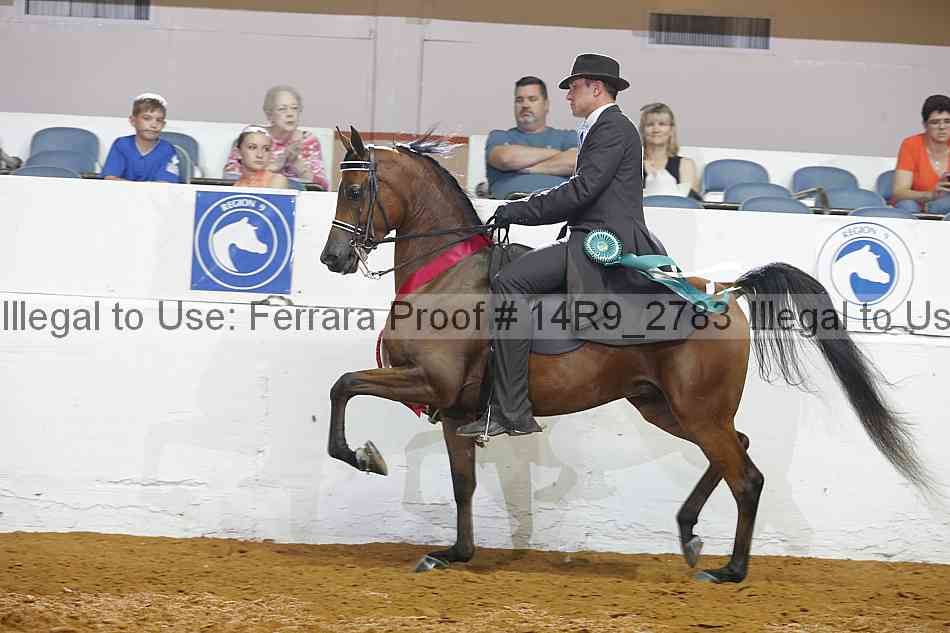 Proof Number 14r9_2783
