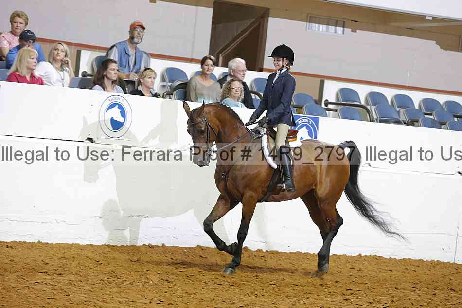 Proof Number 14r9_2797