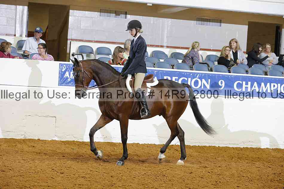 Proof Number 14r9_2800