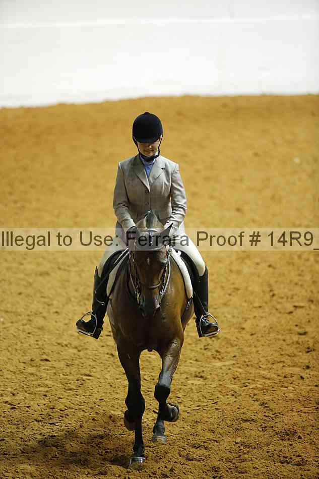 Proof Number 14r9_2801