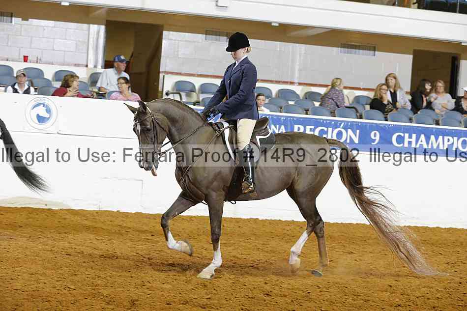 Proof Number 14r9_2802